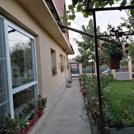 Casa De Inchiriat In Case de vacanță Limanu