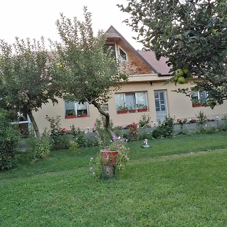 Case de vacanță Casa De Inchiriat In Limanu